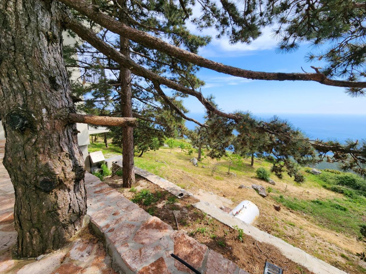 Llogora Dervishaliu Hotel Llogarai Nemzeti Park Kültér fotó