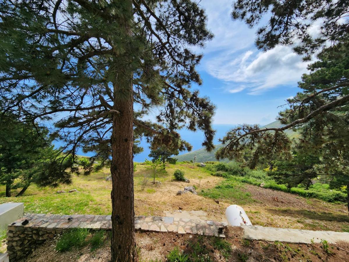 Llogora Dervishaliu Hotel Llogarai Nemzeti Park Kültér fotó