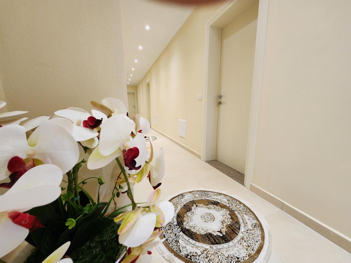 Llogora Dervishaliu Hotel Llogarai Nemzeti Park Kültér fotó